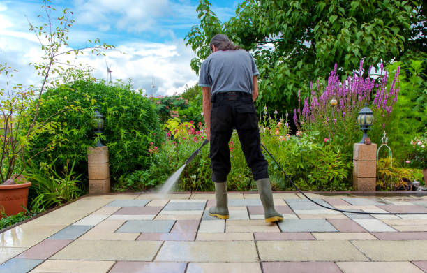Best Driveway Pressure Washing  in Metamora, IL